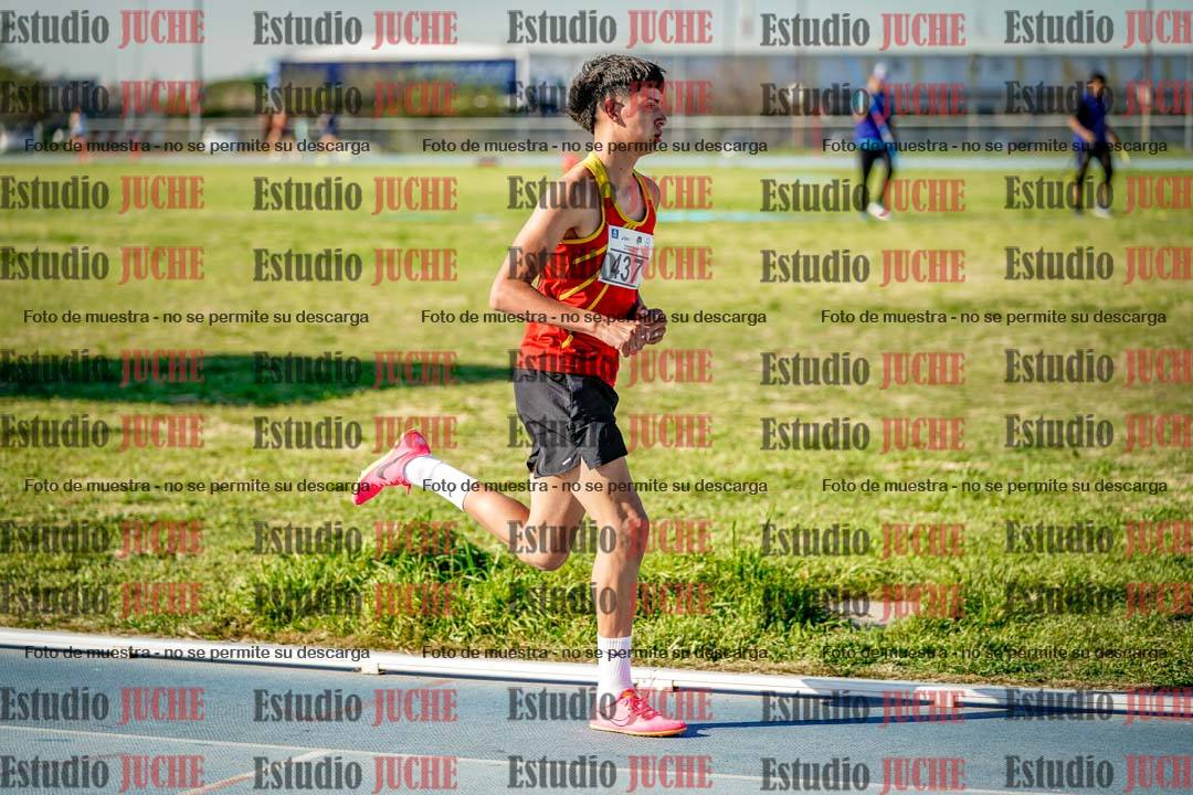 Fotos de los 1500 m llanos de varones