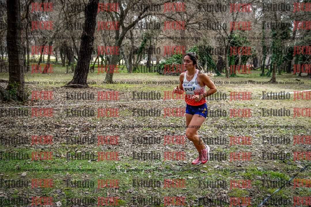 Fotos en el circuito