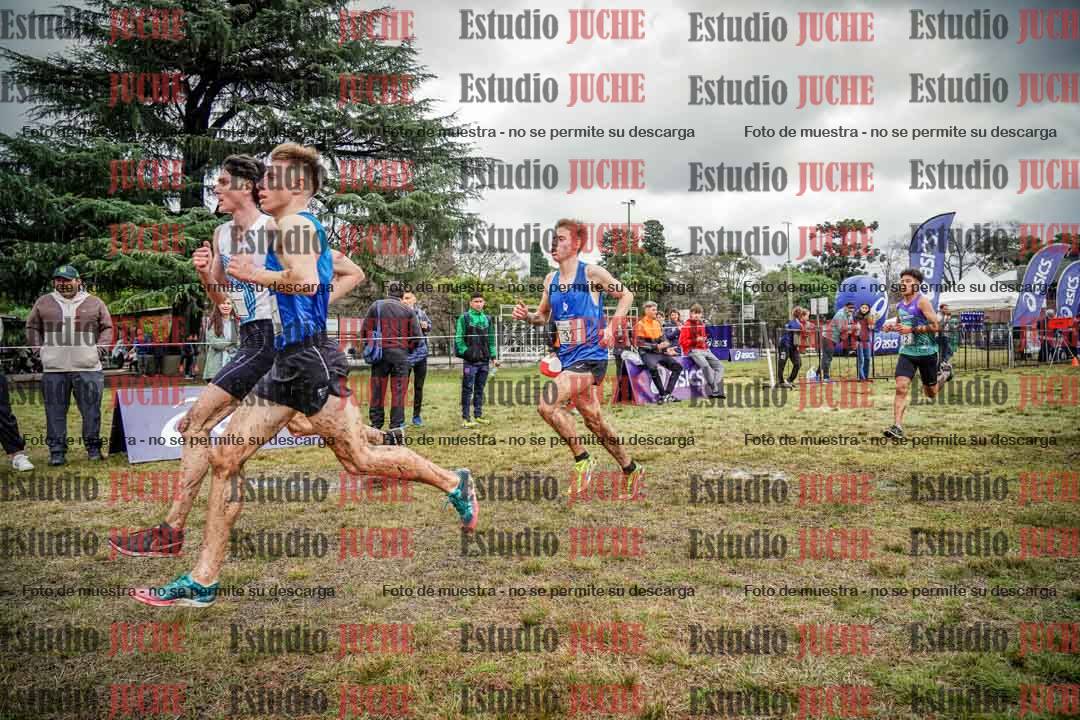 Fotos en el circuito