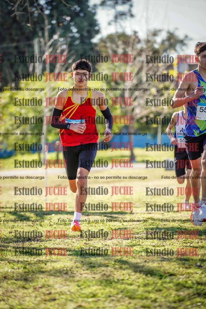 Fotos en el circuito