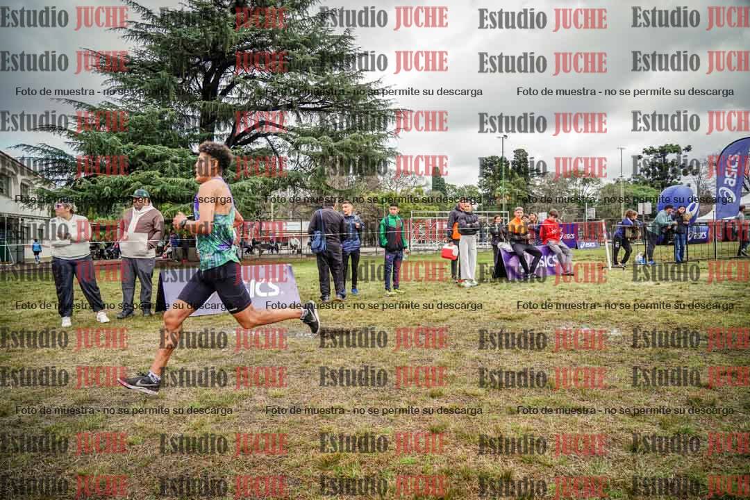 Fotos en el circuito