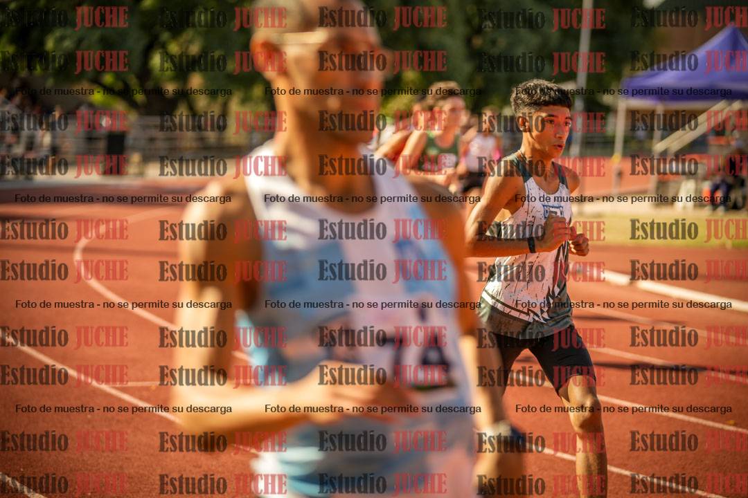 Fotos de los 800 m llanos de varones