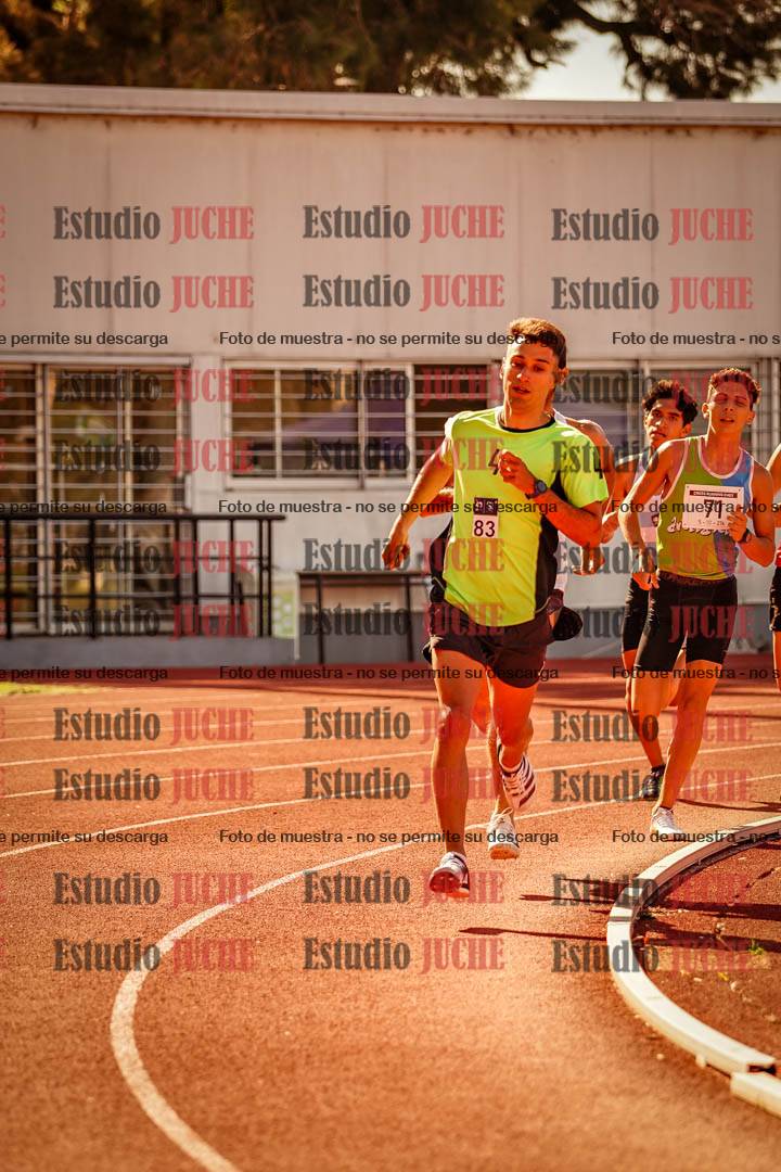 Fotos de los 800 m llanos de varones