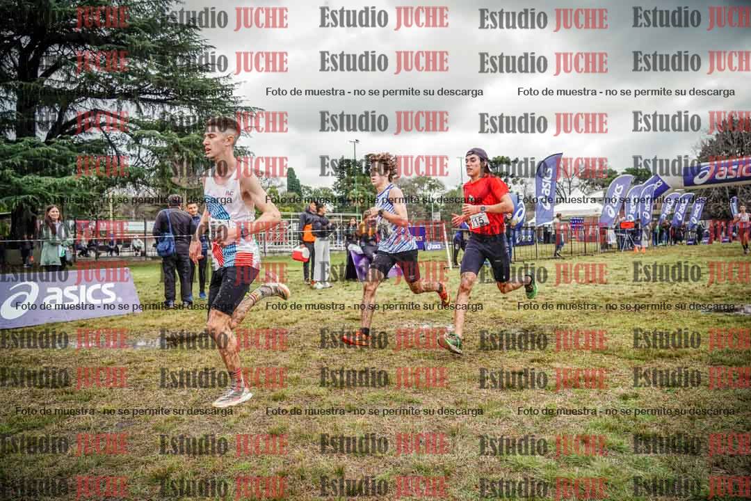 Fotos en el circuito