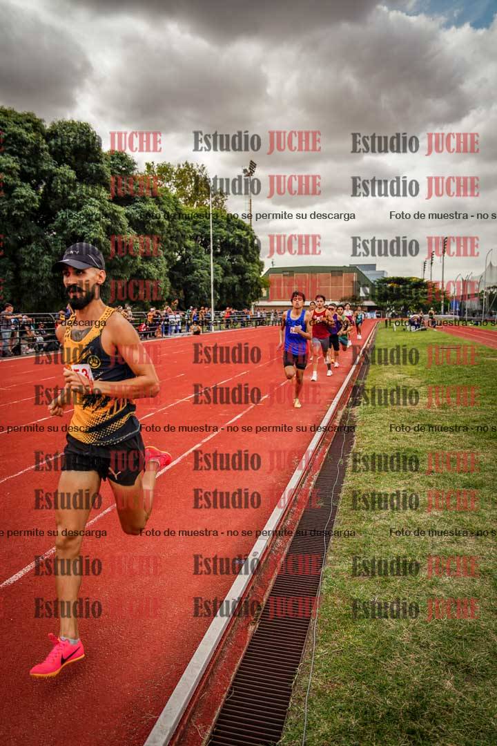 Fotos de los 800 m de varones