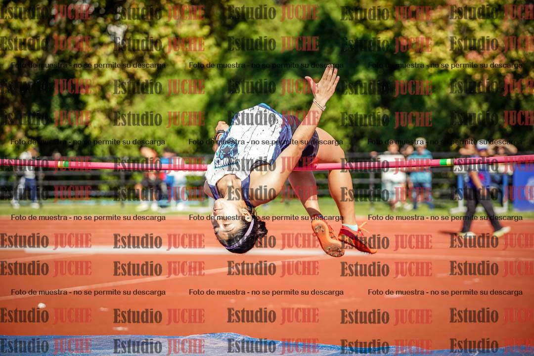 Fotos del salto en alto de mujeres