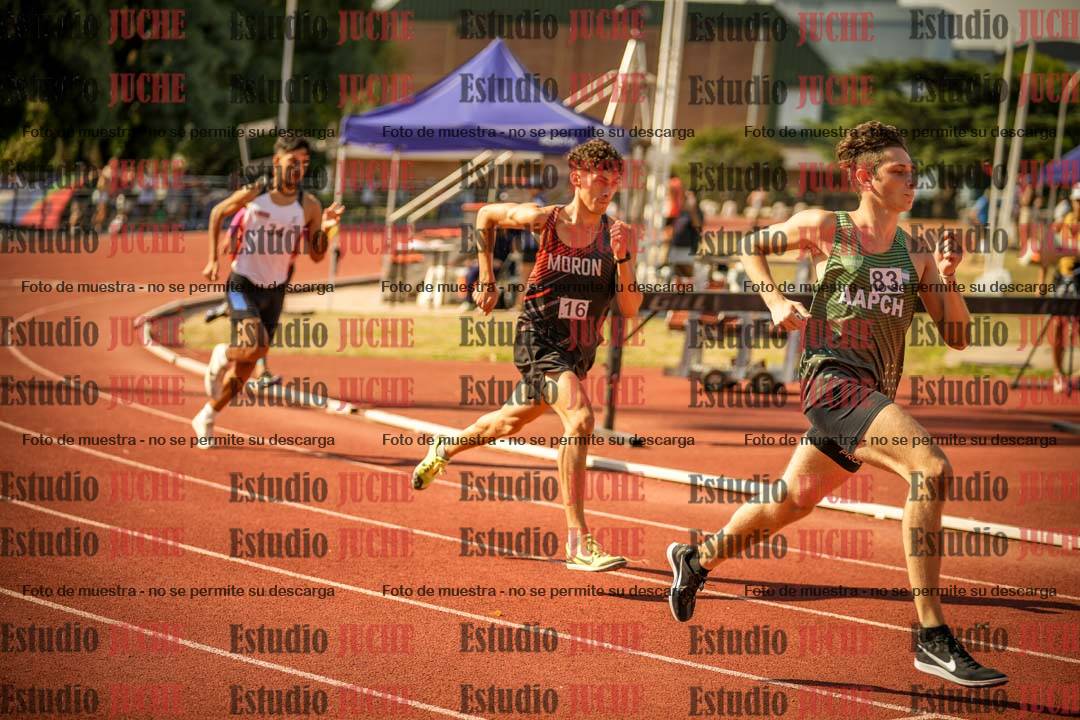Fotos de los 800 m llanos de varones