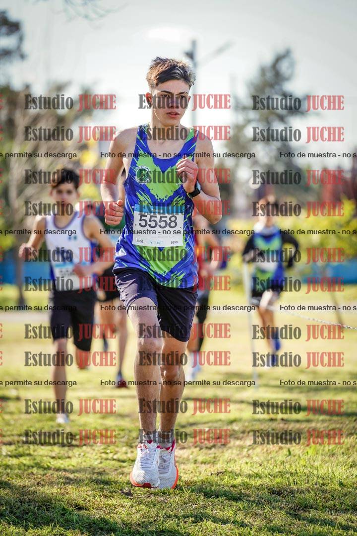 Fotos en el circuito