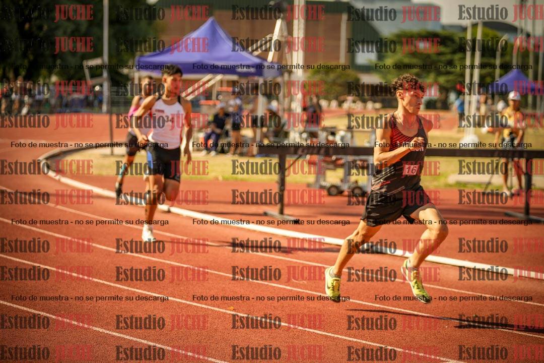 Fotos de los 800 m llanos de varones