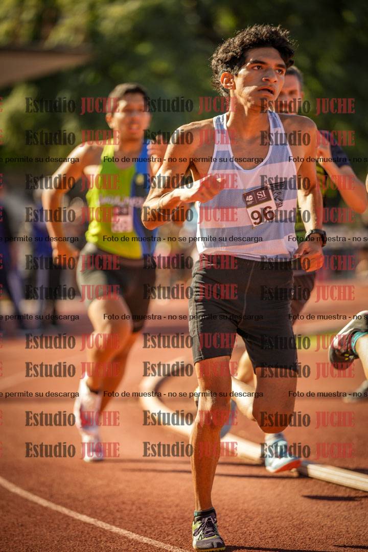 Fotos de los 800 m llanos de varones