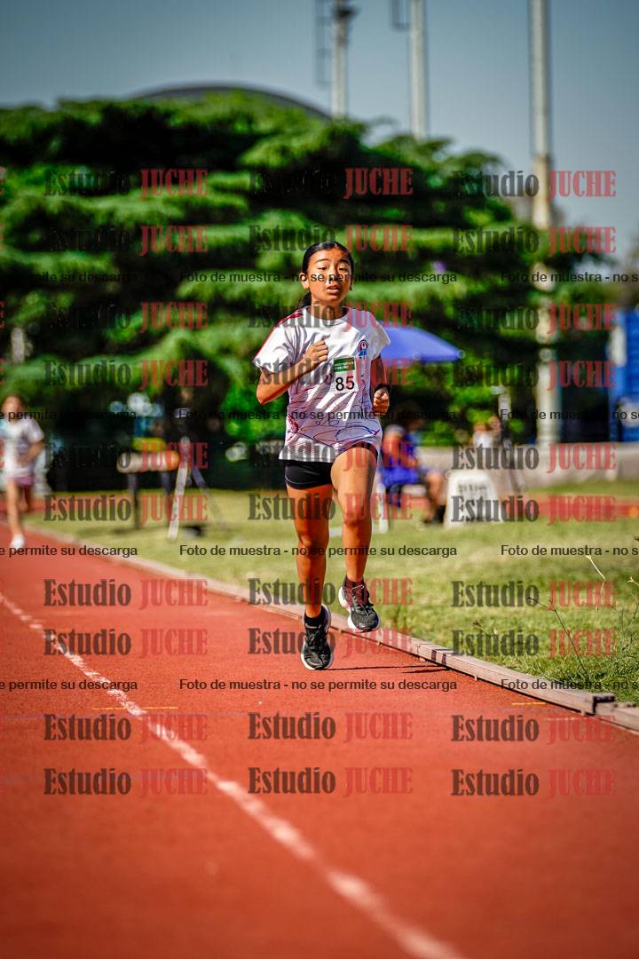 Fotos de los 1000 m llanos de mujeres