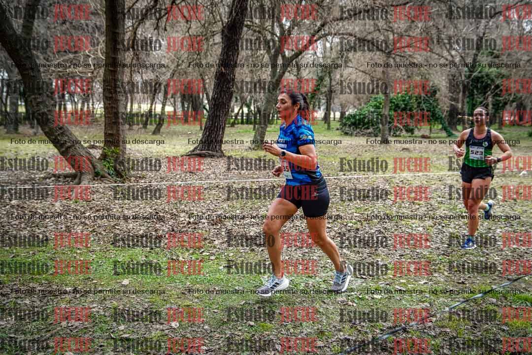 Fotos en el circuito