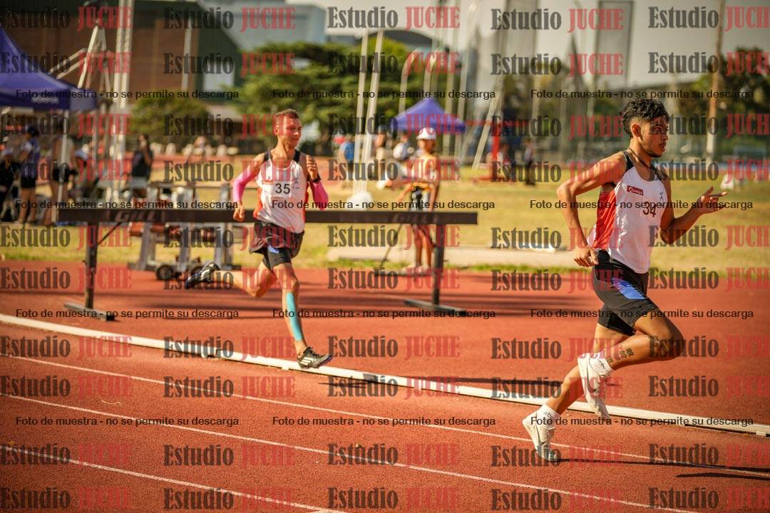 Fotos de los 800 m llanos de varones