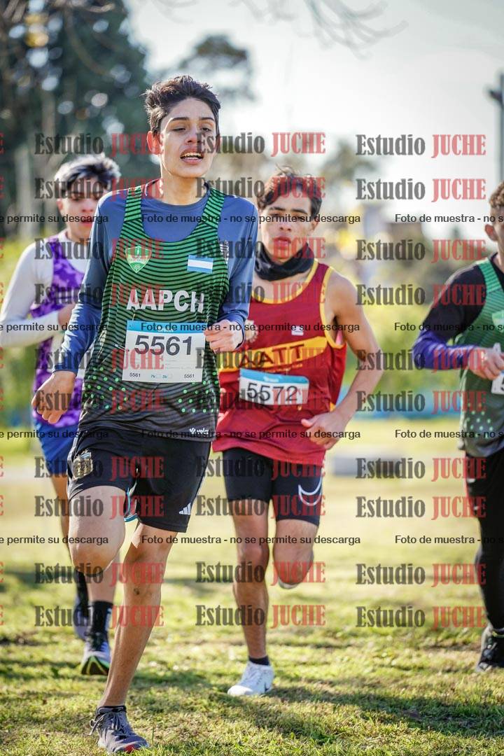 Fotos en el circuito