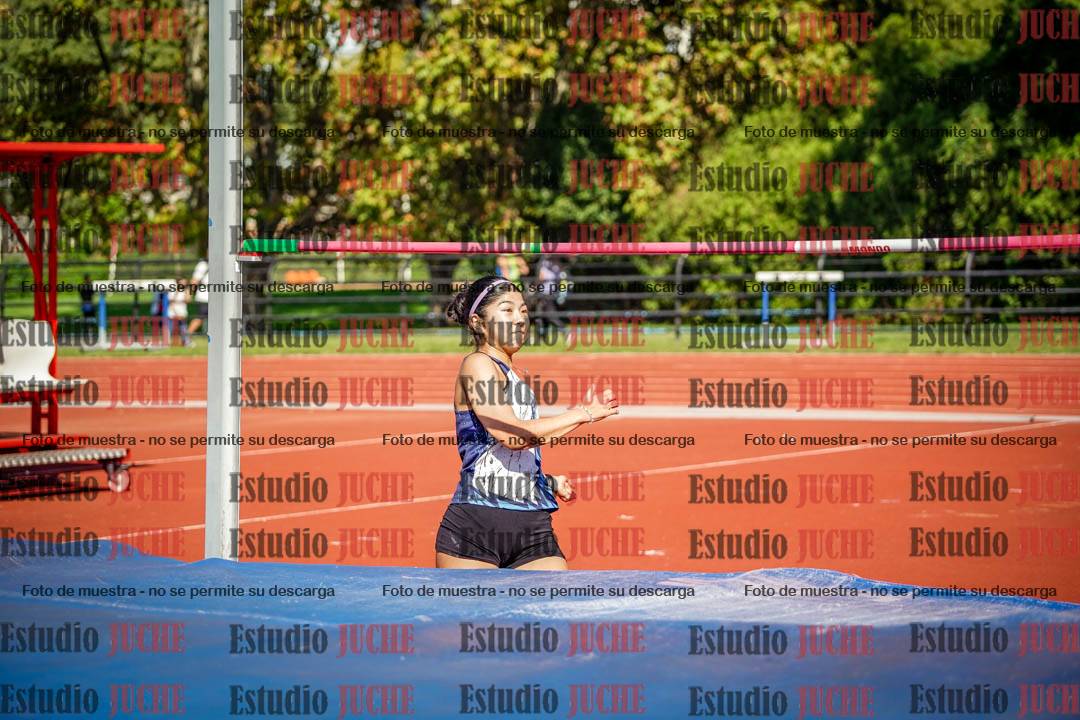 Fotos del salto en alto de mujeres