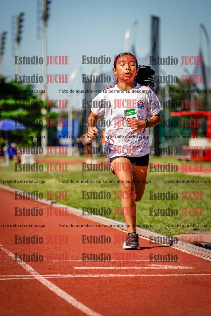 Fotos de los 1000 m llanos de mujeres