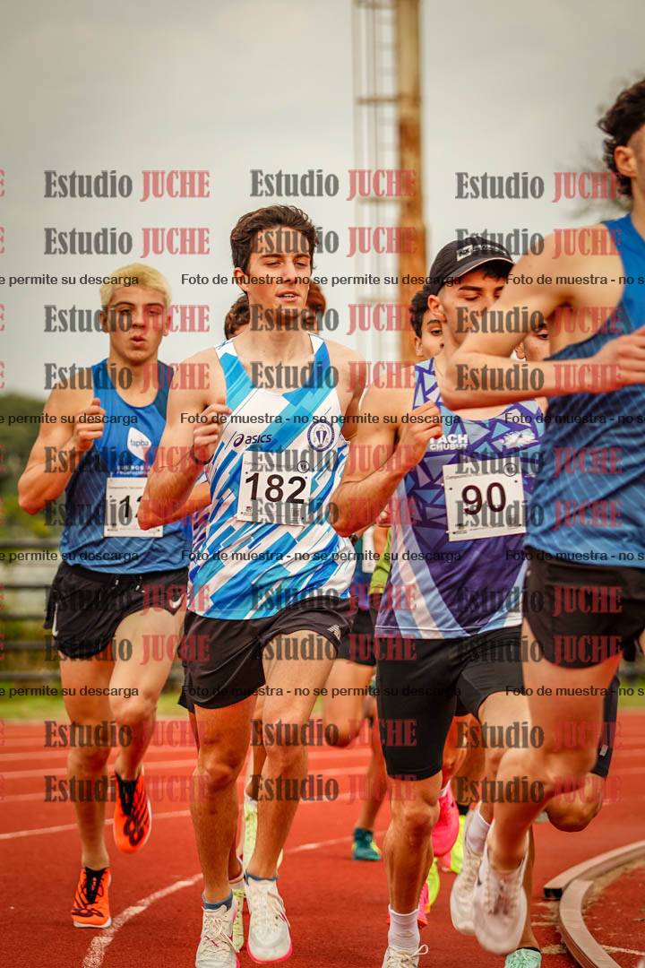 Fotos de los 1500 m llanos de varones