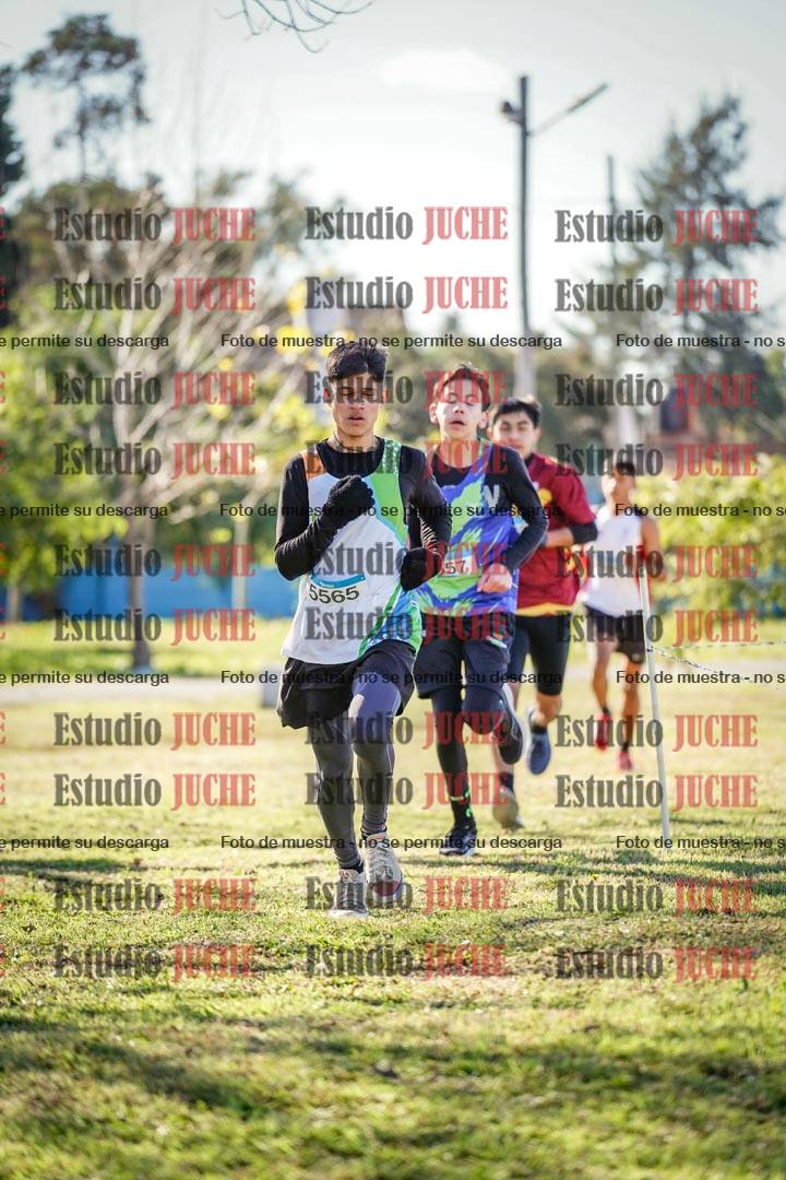 Fotos en el circuito