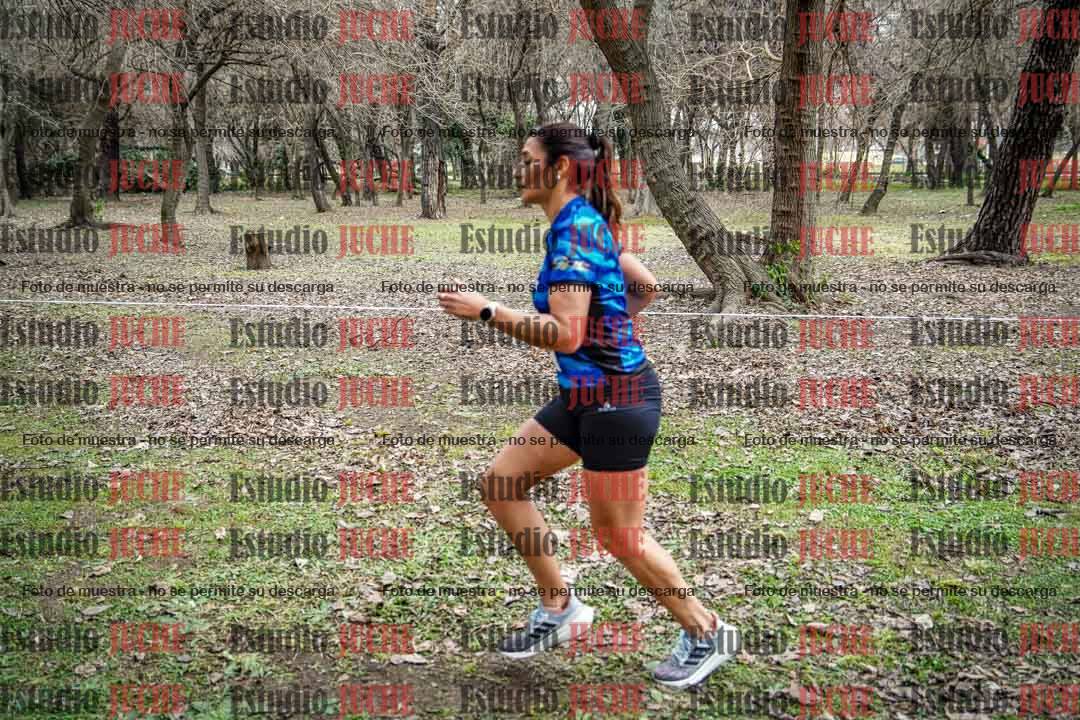 Fotos en el circuito
