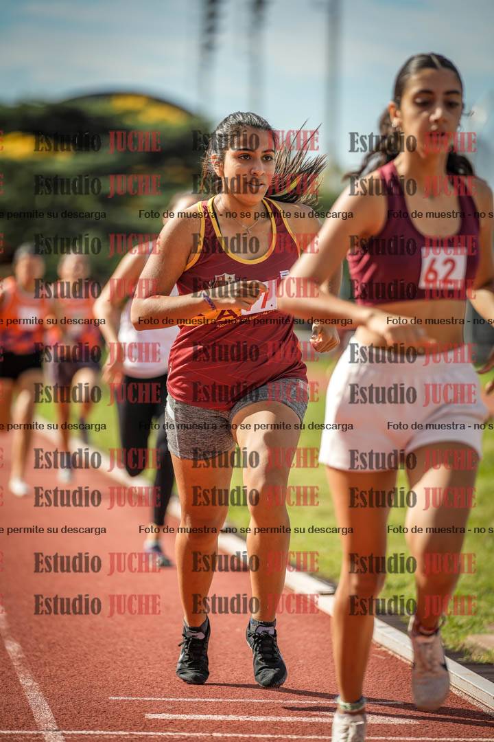 Fotos de los 800 m llanos de mujeres