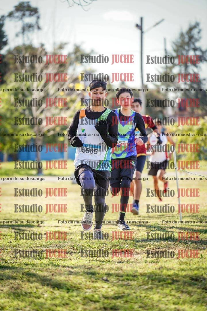 Fotos en el circuito