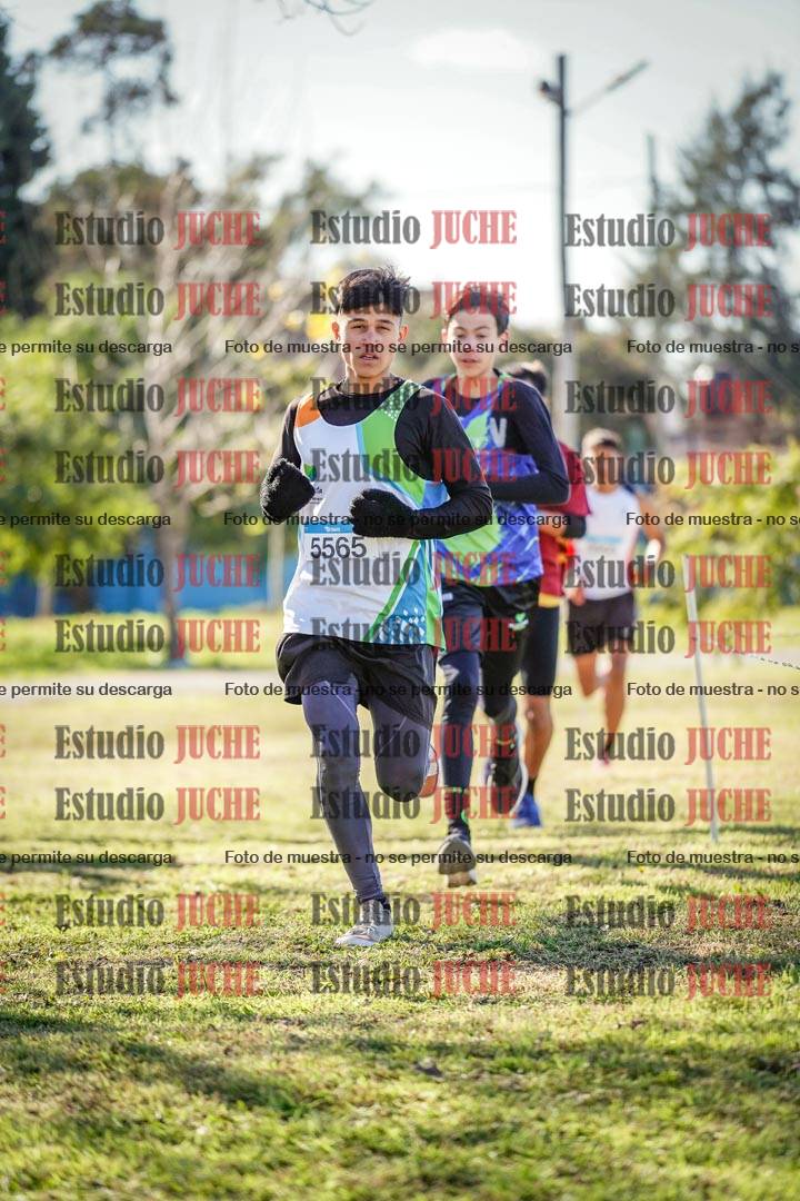 Fotos en el circuito