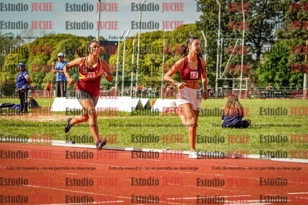 Fotos de los 800 m llanos de mujeres