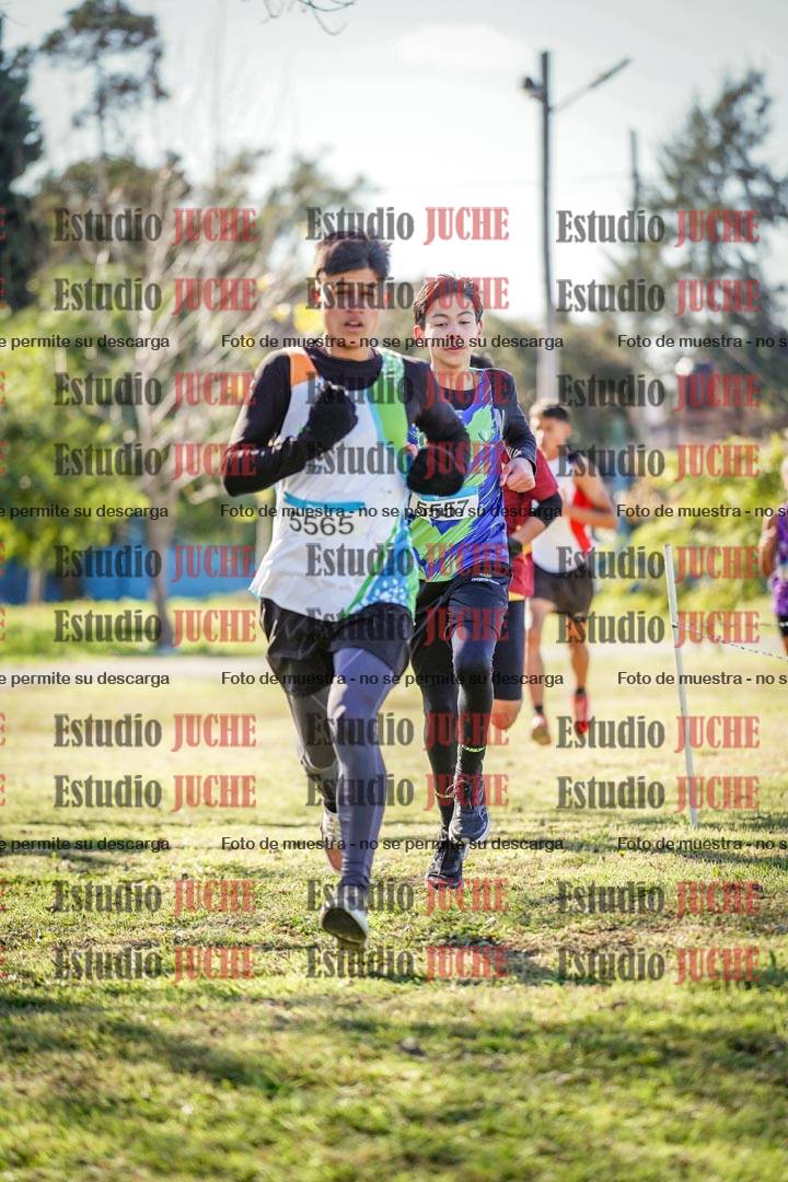 Fotos en el circuito