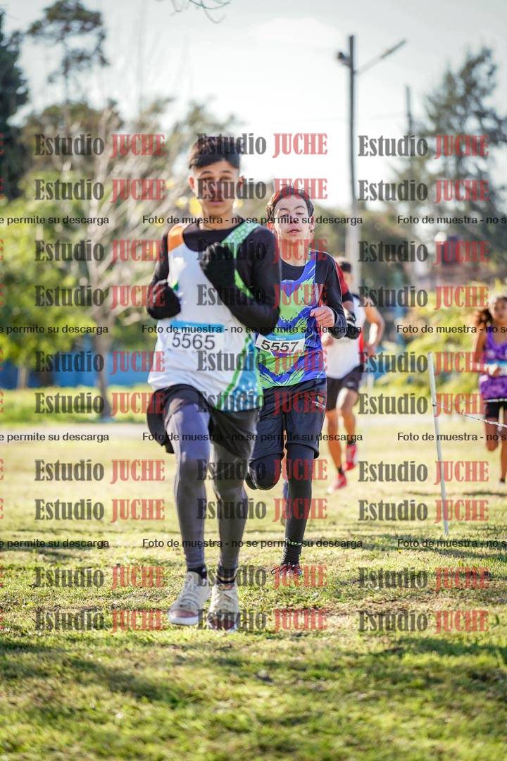 Fotos en el circuito