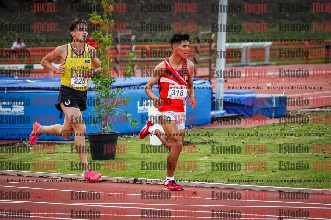 Fotos de los 10.000 m llanos de varones