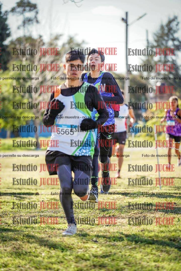 Fotos en el circuito