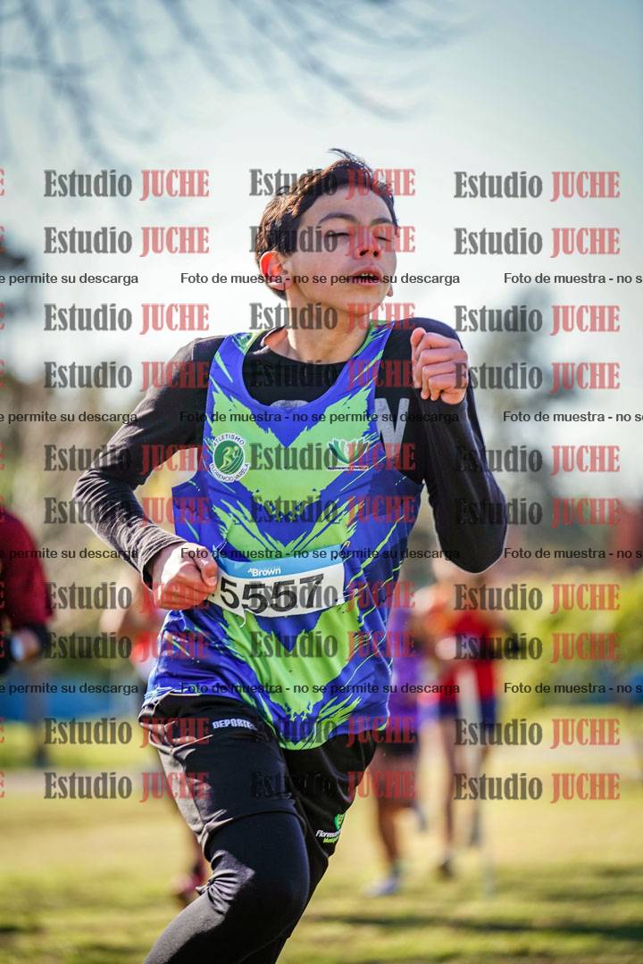 Fotos en el circuito