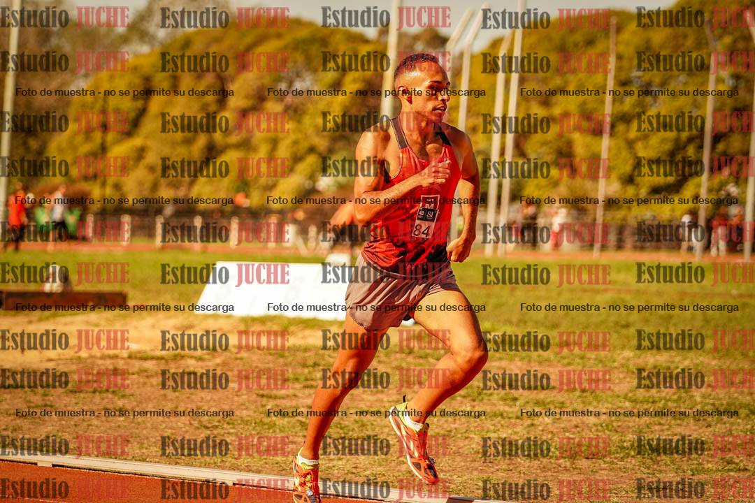 Fotos de los 800 m llanos de varones