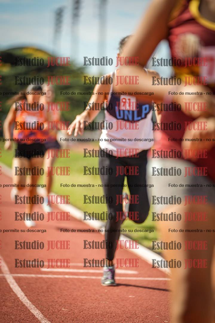 Fotos de los 800 m llanos de mujeres