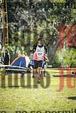 Fotos de la llegada del cross de 8000 m