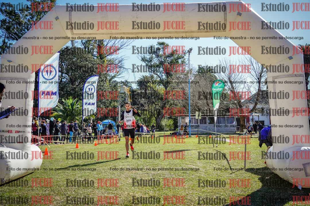 Fotos de la llegada del cross de 8000 m