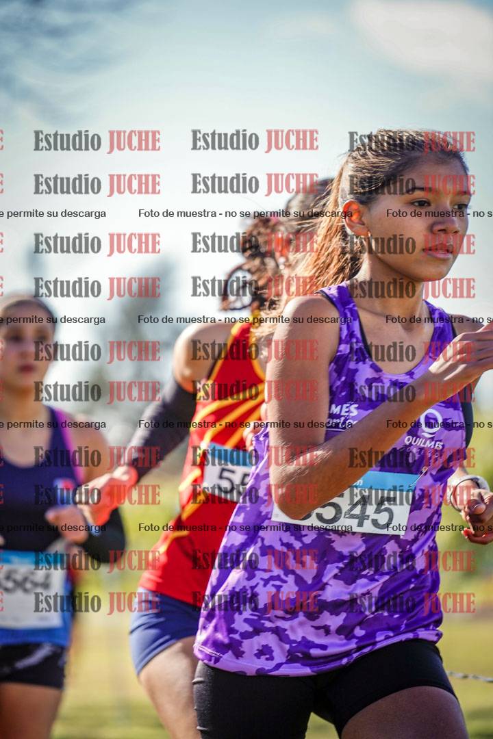 Fotos en el circuito