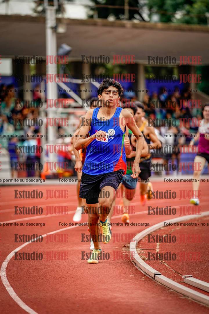 Fotos de los 800 m de varones