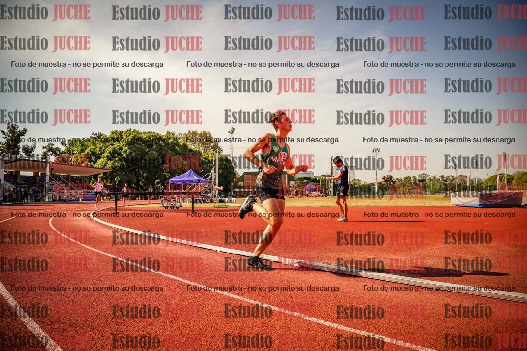 Fotos de los 800 m llanos de varones