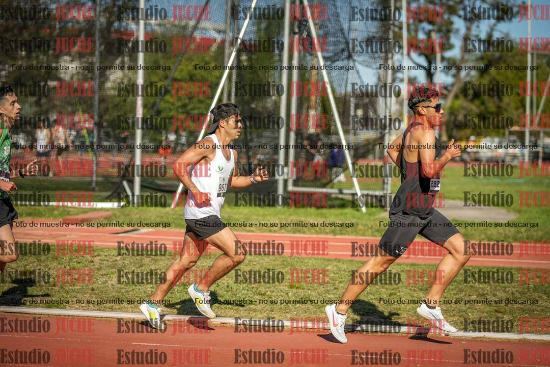 Fotos de los 5000 m llanos de varones