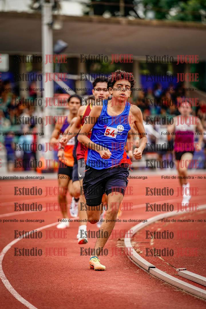 Fotos de los 800 m de varones