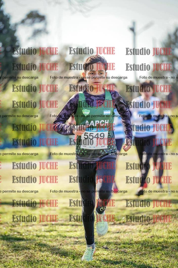 Fotos en el circuito