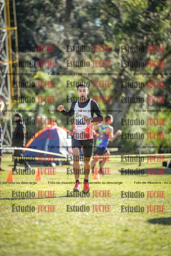 Fotos de la llegada del cross de 8000 m