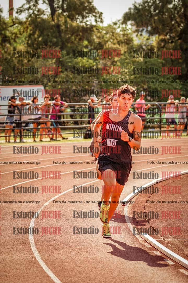Fotos de los 800 m llanos de varones