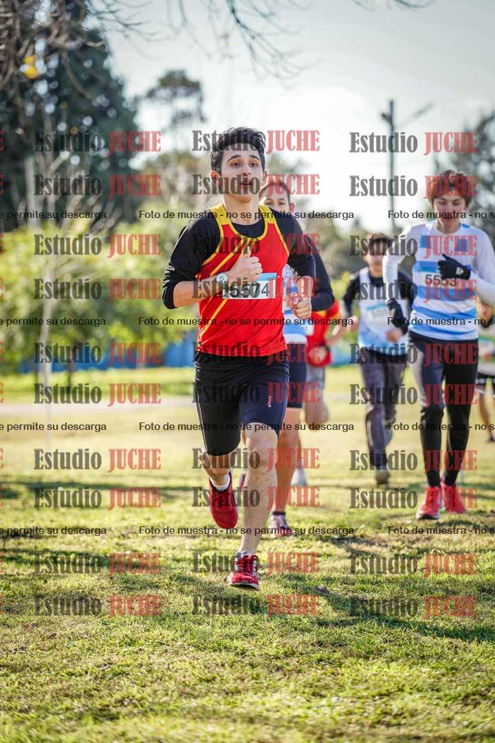 Fotos en el circuito