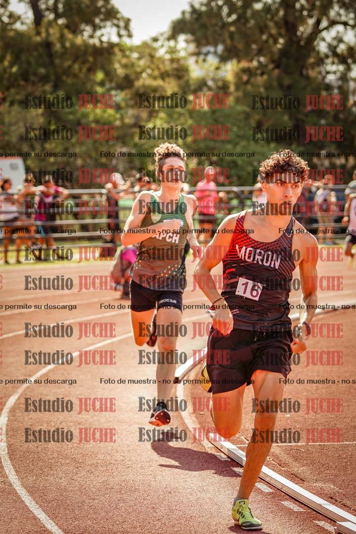 Fotos de los 800 m llanos de varones