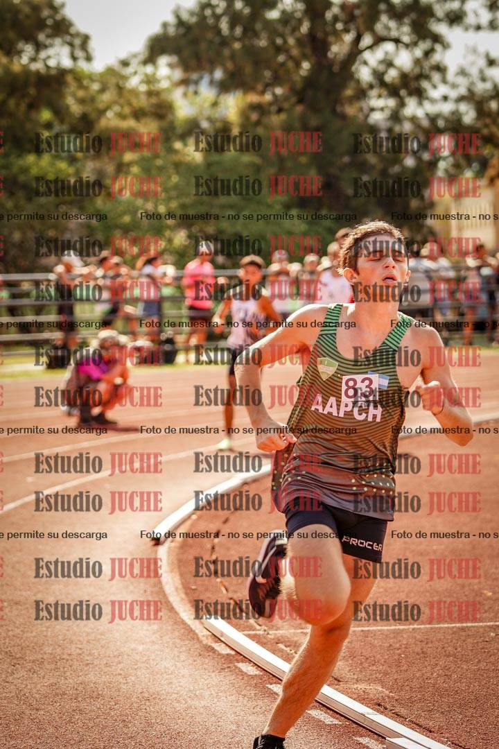 Fotos de los 800 m llanos de varones