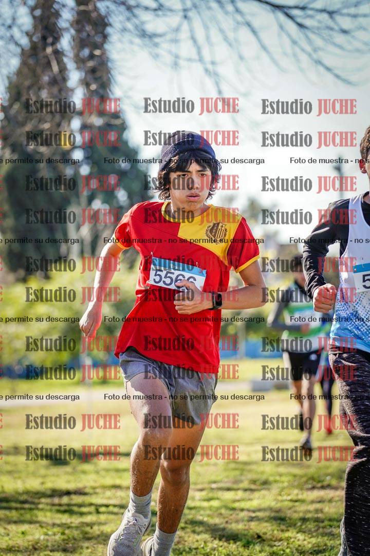 Fotos en el circuito