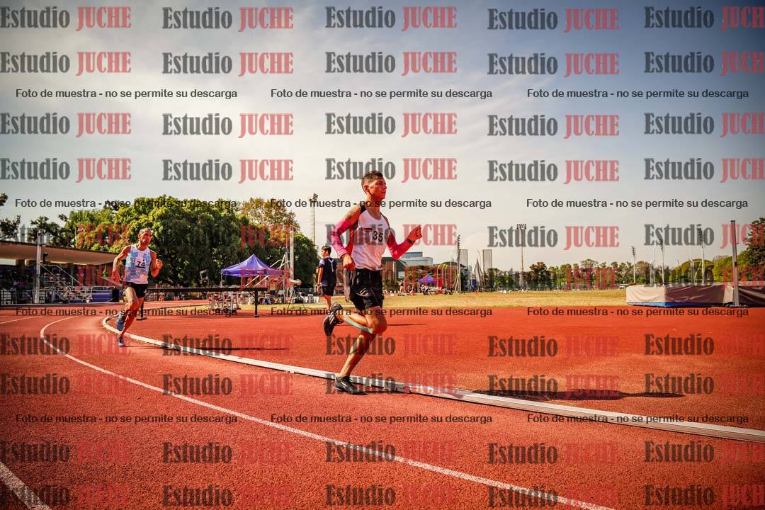 Fotos de los 800 m llanos de varones