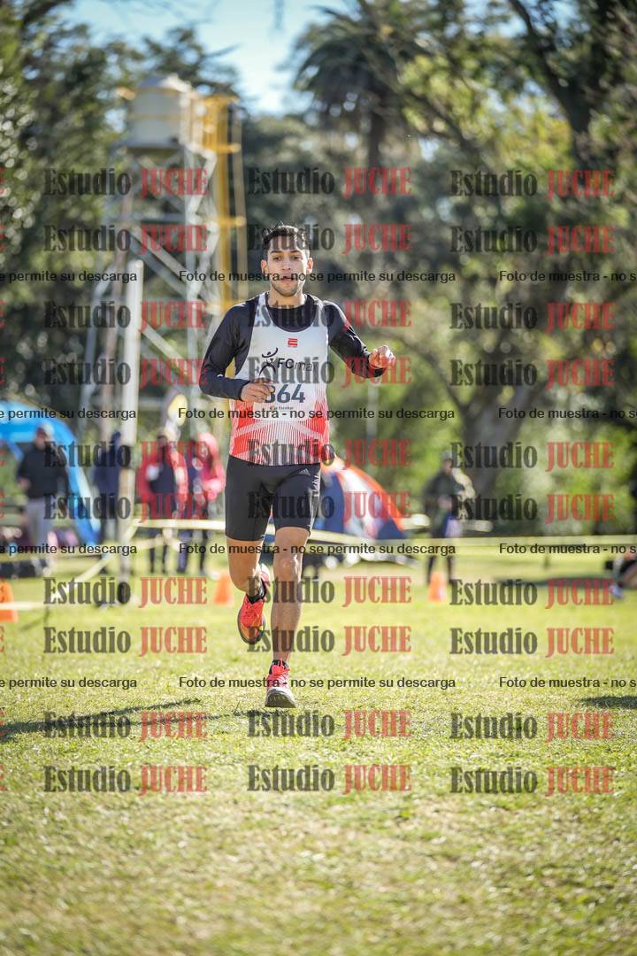 Fotos de la llegada del cross de 8000 m